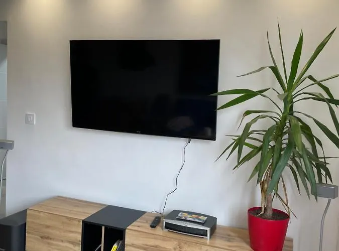 Olgens Νόβι Σαντ