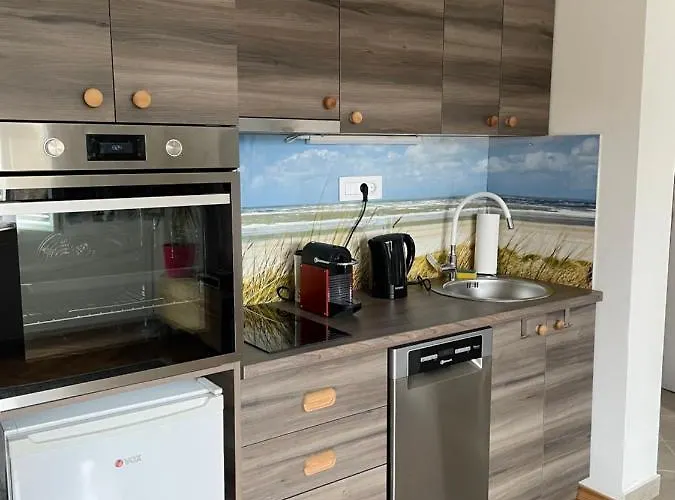 Olgens Νόβι Σαντ